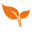 Planglow Limited
