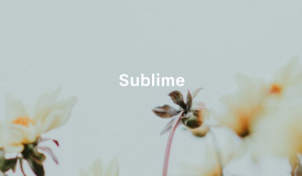Sublime Boutique logo