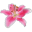 T P Ulyett