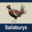 Salisburys