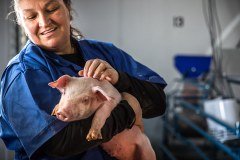 Pic (UK) Limited