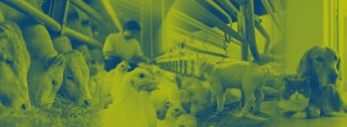 Trouw UK Limited