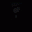 Trakminer Limited