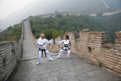 Taekwon-do-wales.Com