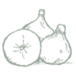 W Robinson & Sons (Market Gardens) Limited logo