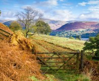 The County Home Search Co. (Devon) Limited