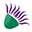 Scottish Organic Producers Association