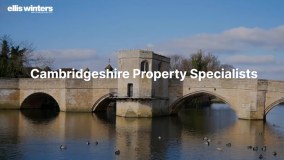 The Overseas Property Group Limited