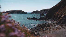 Pembrokeshire Coast National Park logo