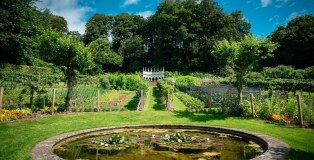 Rococo Gardens