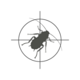 Precision Pest Management