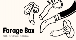 The New Forage Box Limited