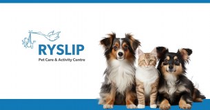Ryslip Group Limited