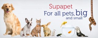 Supapet