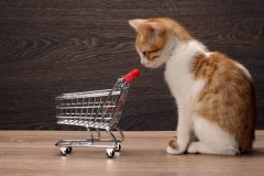 The Pet Shop