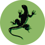 The Reptile Zone Limited
