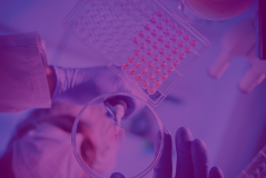Pharmidex Pharmacuetical Services