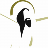 St Martin's Church (C Of E) logo