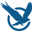 Osprey Limited