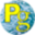 P G Bones Limited logo