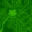 Screen Bond Limited