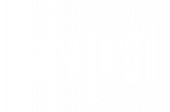 Raiseprint Plc