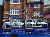 The Dolphin
