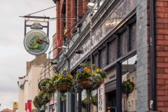 The Frog & Fiddle