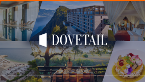 The Dovetail Agency