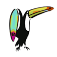 Toucan Books