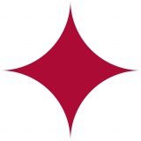 Smart Systems Limited