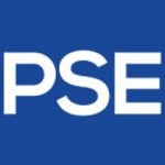 P S E Associates
