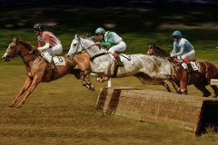 Newbury Racecourse Plc