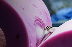 Specialist Refractory Services Limited