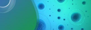 The European Bioinformatics Institute
