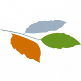 The Beeches Residential Home