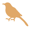 The Snug logo