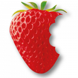 Strawberry Fields logo