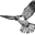 Dunscombe Manor logo