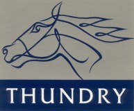 Thundry Competition Stud