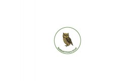 Spaldwick Community Primary School logo
