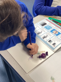 Swain House Primary School