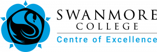 Swanmore College Of Technology