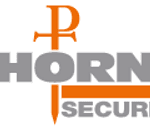 P Thorne & Son (Safes & Security Systems) Limited