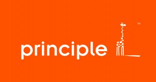 Principle Security Limited