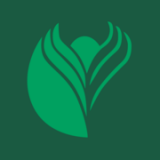 Pearce Seeds Limited