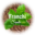 Seeds Of Italy