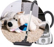 Absolute Carpet Care