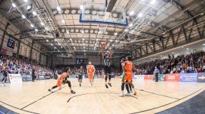 Newcastle Eagles Basketball logo