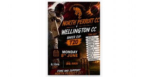 North Perrott Cricket Club logo